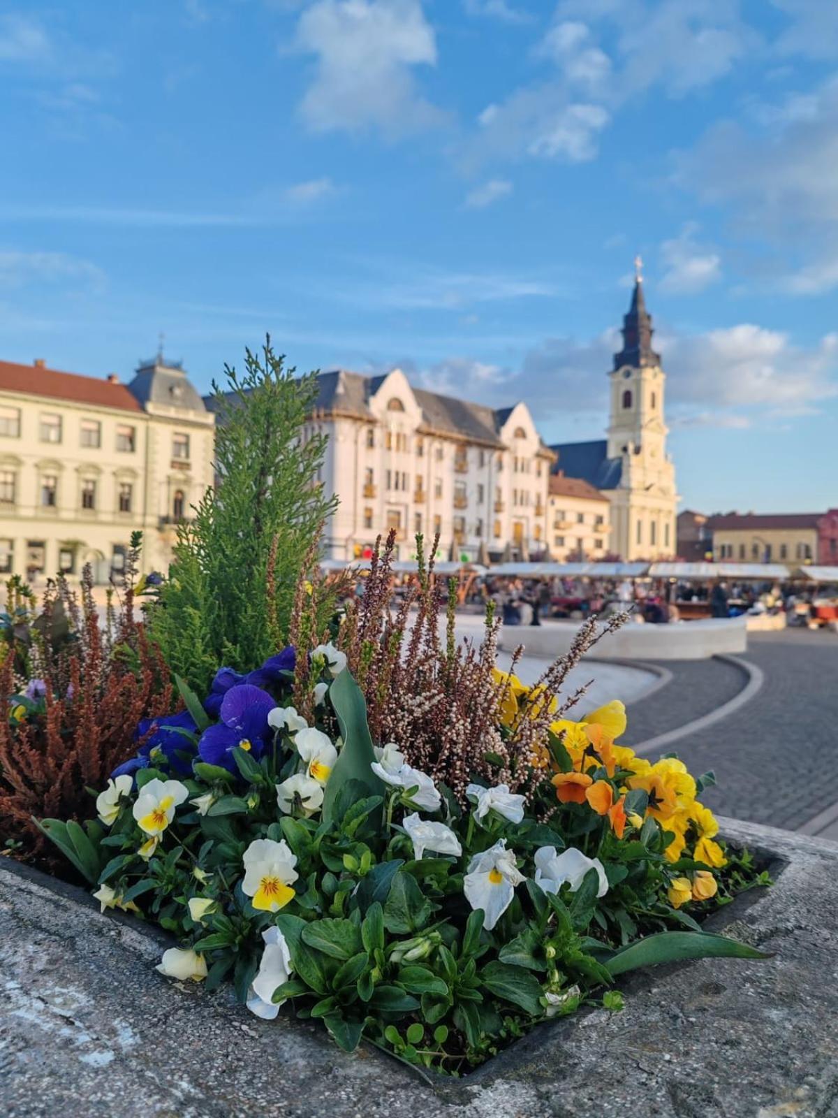 Victoria Apartment 1901 Oradea Dış mekan fotoğraf